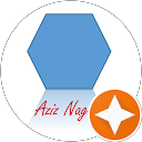 Aziz Nagina profile picture